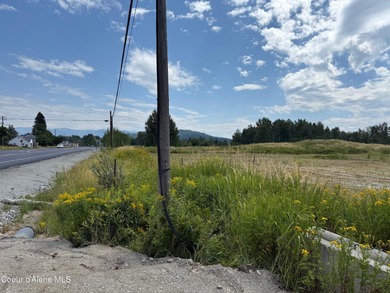 8 Acres with highway frontage and all utilities present, less - photo 3