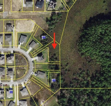 Lake Marion - Polk County Lot For Sale in Poinciana Florida