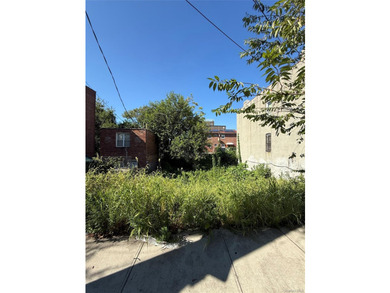 Land For Sale. R5 Zoning. 2 Lots 20 x 85 each combined 3400 sqft - photo 1