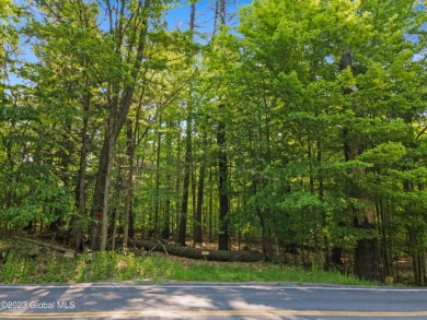 Lake George Lot For Sale in Fort Ann New York