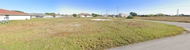Lehigh Acres Area Lot For Sale in Lehigh Acres Florida