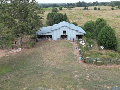 Rare opportunity to own 53+ acres of pasture, ponds, and - photo 4