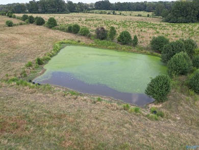 Rare opportunity to own 53+ acres of pasture, ponds, and - photo 5