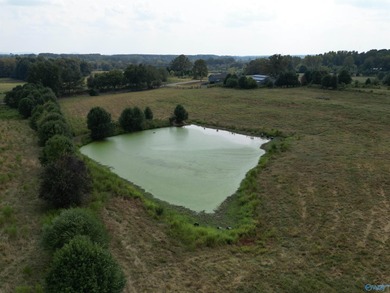Rare opportunity to own 53+ acres of pasture, ponds, and - photo 6