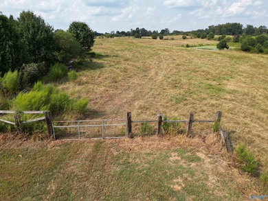 Rare opportunity to own 53+ acres of pasture, ponds, and - photo 7