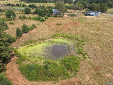 Rare opportunity to own 53+ acres of pasture, ponds, and - photo 8