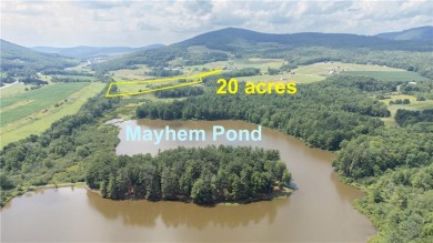 Mayham Pond Acreage For Sale in Stamford New York