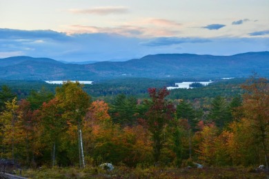 Squam Lake Acreage For Sale in Meredith New Hampshire