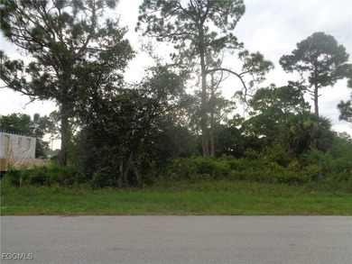 Lehigh Acres Area Lot For Sale in Lehigh Acres Florida