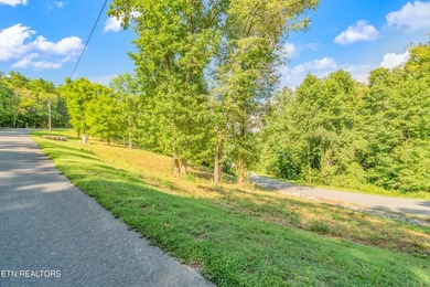 LOTS 1-3 ARE LISTED TOGETHER: MLS #1342868 Nestled in one of - photo 4