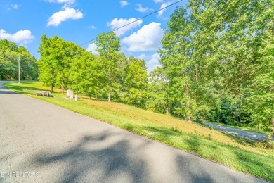 LOTS 1-3 ARE LISTED TOGETHER: MLS #1342868 Nestled in one of - photo 6