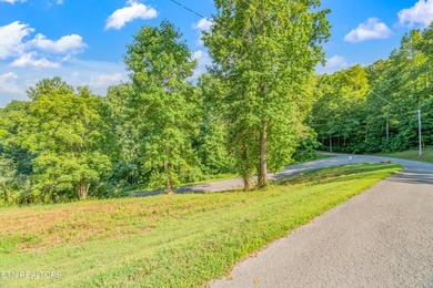 LOTS 1-3 ARE LISTED TOGETHER: MLS #1342868 Nestled in one of - photo 8
