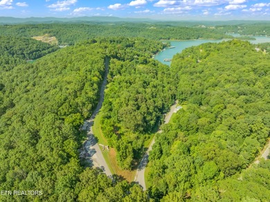 LOTS 1-3 ARE LISTED TOGETHER: MLS #1342868 Nestled in one of - photo 9