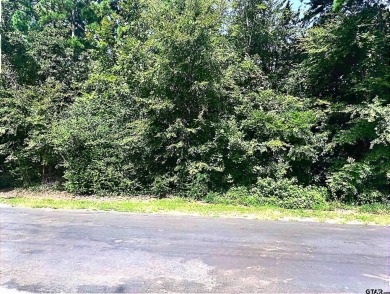 Lake Palestine Lot For Sale in Bullard Texas