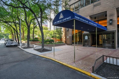 Lake Condo For Sale in New York (Manhattan), New York