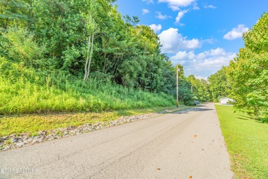 LOTS 1-3 ARE LISTED TOGETHER: MLS #1342868 Located in the scenic - photo 3