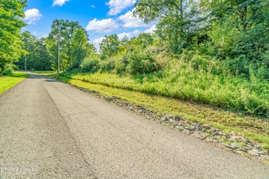 LOTS 1-3 ARE LISTED TOGETHER: MLS #1342868 Located in the scenic - photo 4