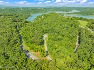 LOTS 1-3 ARE LISTED TOGETHER: MLS #1342868 Located in the scenic - photo 8