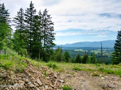  Lot For Sale in Sandpoint Idaho