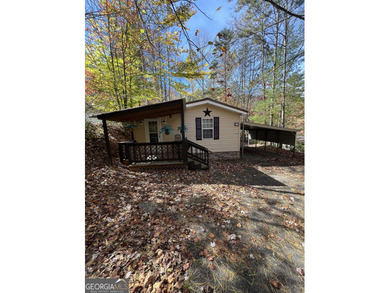 (private lake, pond, creek) Home For Sale in Hiawassee Georgia