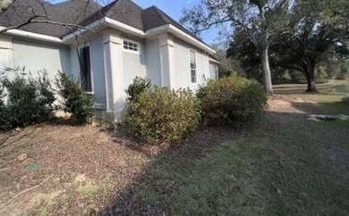 1145 Dominion Dr E. located in The Dominion Subdivision features - photo 2