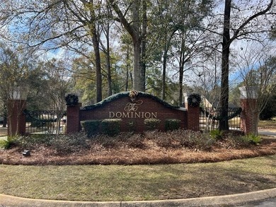 1145 Dominion Dr E. located in The Dominion Subdivision features - photo 3