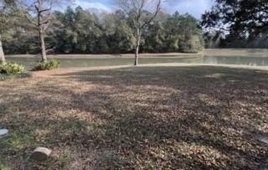1145 Dominion Dr E. located in The Dominion Subdivision features - photo 10