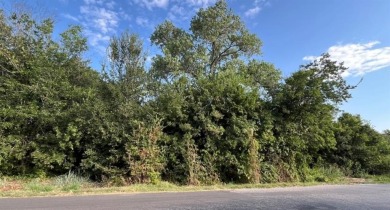 Lake Granbury Lot For Sale in Granbury Texas