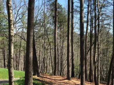 Lake Lot For Sale in Ellijay, Georgia