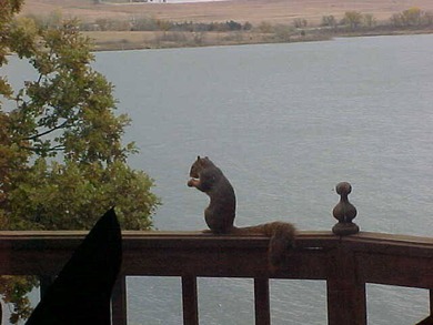 Lake Wabaunsee, in the heart of the Kansas Flint Hills, is a - photo 20