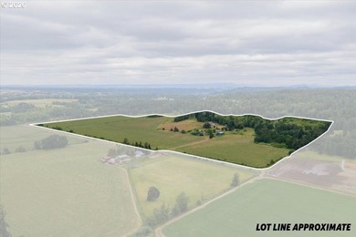 Follow the long private driveway to this secluded 84+ acre farm - photo 7