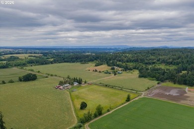 Follow the long private driveway to this secluded 84+ acre farm - photo 9