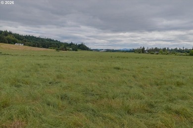 Follow the long private driveway to this secluded 84+ acre farm - photo 10