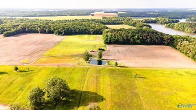 Location Location Location!!! Two parcels! Beautiful farm land - photo 2