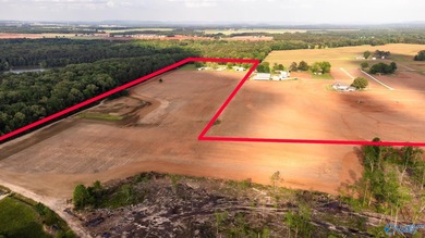 Location Location Location!!! Two parcels! Beautiful farm land - photo 3