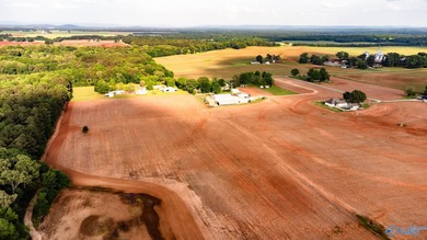 Location Location Location!!! Two parcels! Beautiful farm land - photo 4