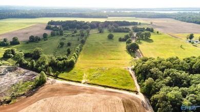 Location Location Location!!! Two parcels! Beautiful farm land - photo 5