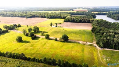 Location Location Location!!! Two parcels! Beautiful farm land - photo 6