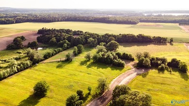 Location Location Location!!! Two parcels! Beautiful farm land - photo 7