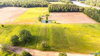 Location Location Location!!! Two parcels! Beautiful farm land - photo 8
