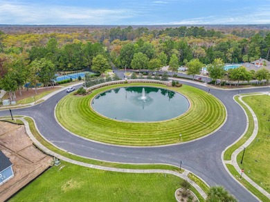 Set behind the gates of Cypress River Plantation, this modern - photo 39