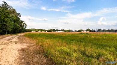 Location Location Location!!! Two parcels! Beautiful farm land - photo 10