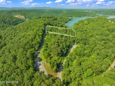 Lake Acreage For Sale in Lafollette, Tennessee