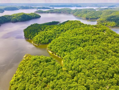 Lake Acreage For Sale in Monticello, Kentucky