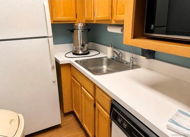 Welcome to 7 Daria Dr. Oakdale, NY - Windmill Gate 55+ Community - photo 25