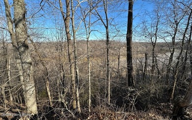 Discover Secluded Acres, a rare chance to own lakefront property - photo 10