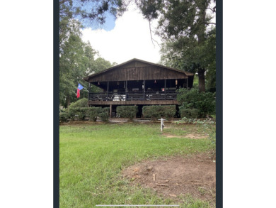 Cozy Cottage -  - Lake Home For Sale in Shelbyville, Texas