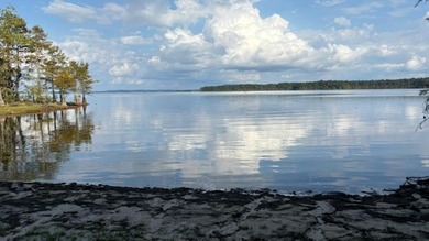 Toledo Bend Lake Acreage For Sale in Hemphill Texas