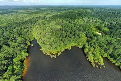 Discover your dream retreat with this breathtaking (approx) 77 - photo 7