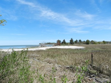 Beautiful 1.49+/- acre lot located in a Historic Community, with - photo 12